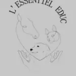 logo essentiel educ
